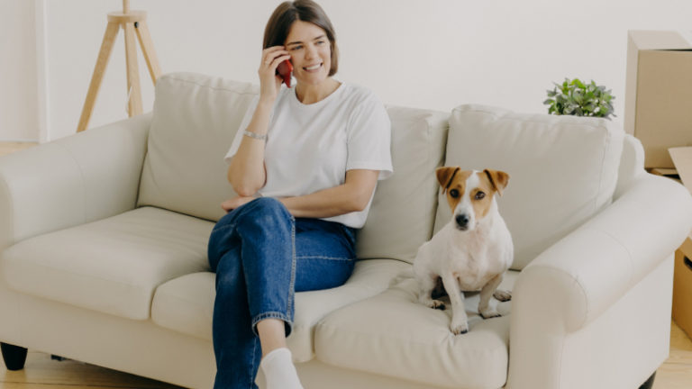 alarma para hogar con mascotas
